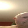 Vaclavmachan56pbs