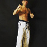Bruceleetedy