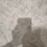 Adam80242