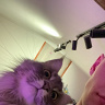 PochKr