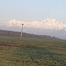 MisiekNSWP