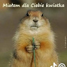 PawelKaczmarek11