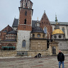 ZiembikiewiczSe