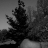 xWPawel