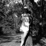 Anishia