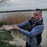 witoldino