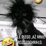 Psotka77