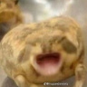 Stonka99