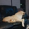 RomekSzu1