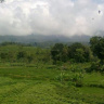 CicikL