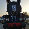StrawczynskiKr