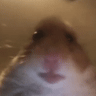 SwinskieSmarowidIo