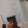 CiecioraAn