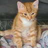Damian09956