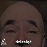 KOTO321