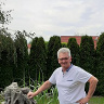 Wolny11