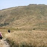 PawelWasik1986