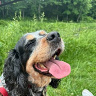RogalM