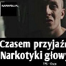wierzba47033