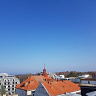 SiwickiK