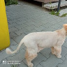 Grzegorz121212