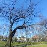 RadekB183