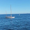 Tomektomek9898