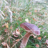 Bartek0719