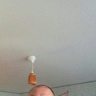 LamprechtLeszek296