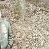 Ryantucker3636