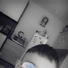 lepekipatryk