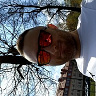 MisKrolis