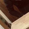 fabianalbinski9