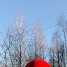grzelamateusz800
