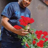 AnishK
