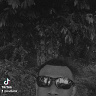 a77142969