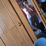 dawid0704