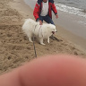 DobryWujek