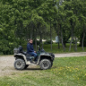 siewka11994