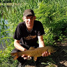 kokesz40