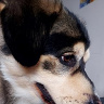 WojtekWojcik1997