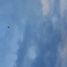 w80034511979
