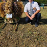 Mateusz128