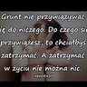 blondii1981