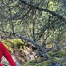 jarekperskawiec