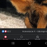 kubagrzelak60