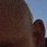 PoloF