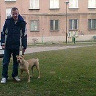 koltuntomsi