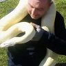 BenekBenek