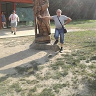 skoczylasdariusz52